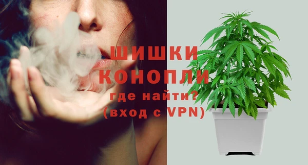 сатива Балабаново