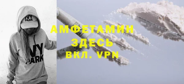 индика Баксан