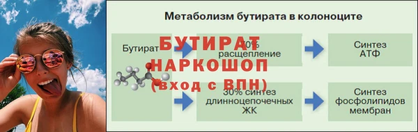 индика Баксан