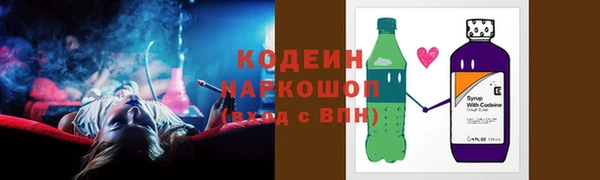 индика Баксан