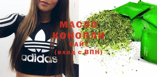 индика Баксан