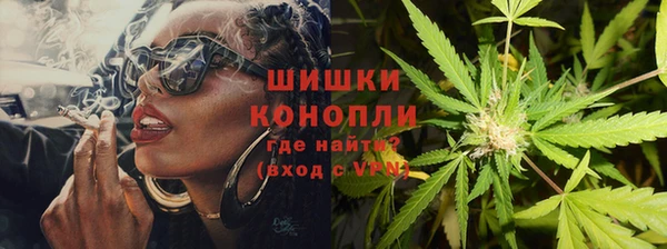 сатива Балабаново