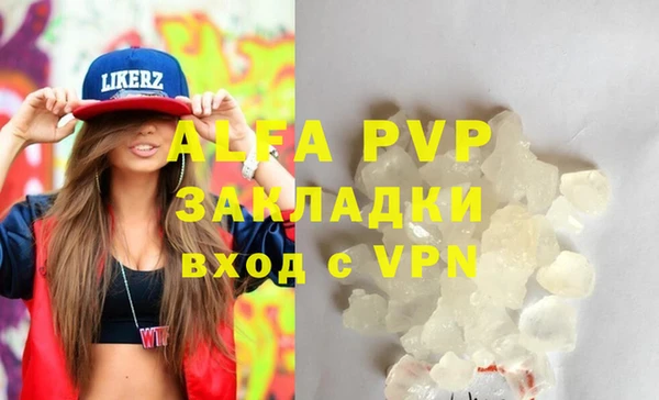 индика Баксан