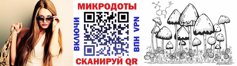 Псилоцибиновые грибы Cubensis  Купино 